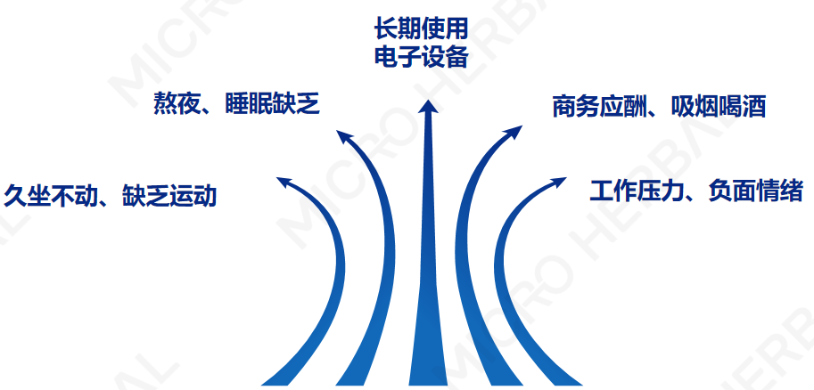 尊龙凯时人生就是博·Z6(中国)官方网站